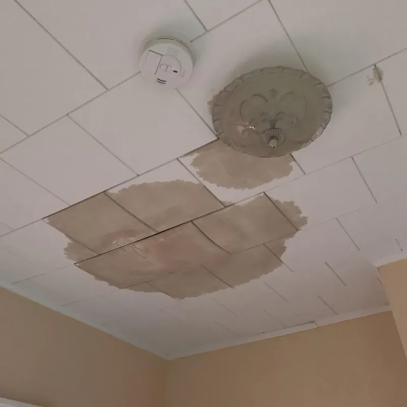 Ceiling Water Damage Repair in Ettrick, VA