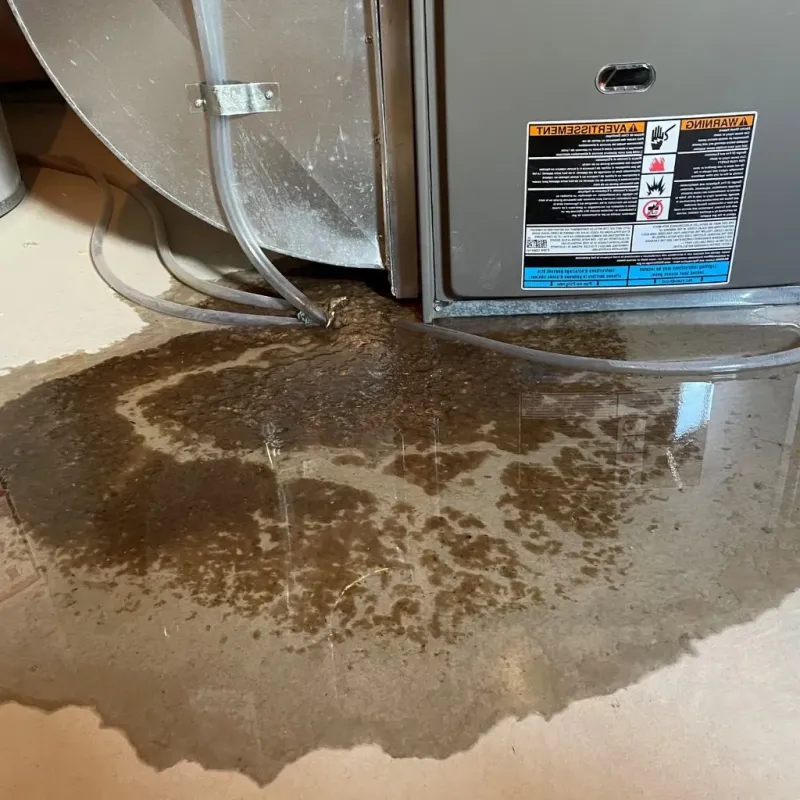 Pipe Burst and Leak Restoration in Ettrick, VA