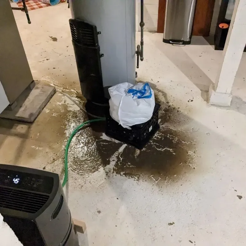Sewage Backup Cleanup Service in Ettrick, VA